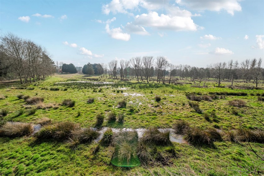 Images for Wisley Gardens, Farnborough