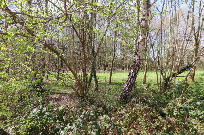 Images for Camus Close, Church Crookham, Fleet