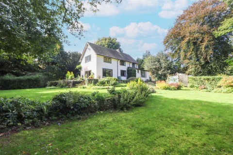 Powntley Copse, Alton