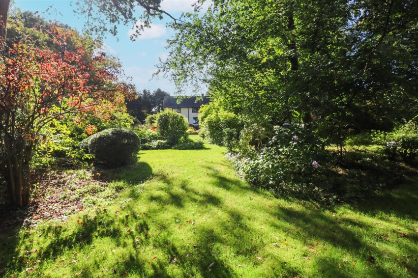 Images for Powntley Copse, Alton