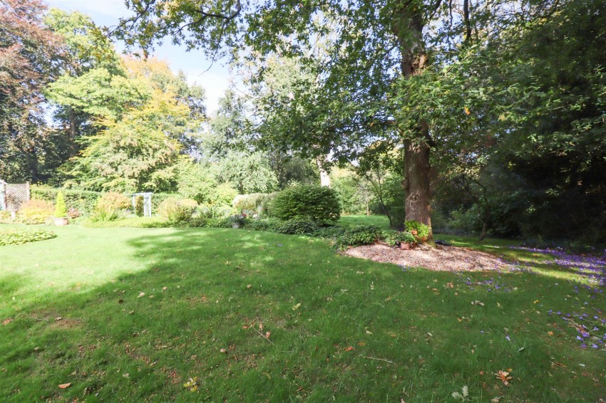 Images for Powntley Copse, Alton