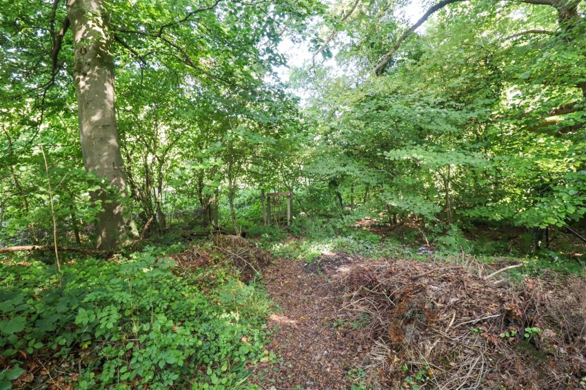 Images for Powntley Copse, Alton