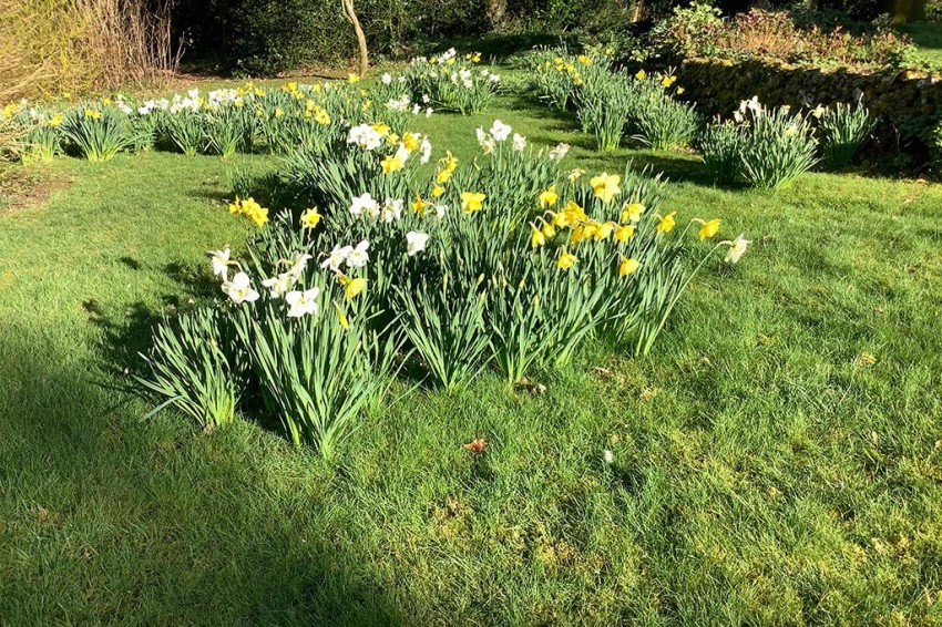 Images for Powntley Copse, Alton
