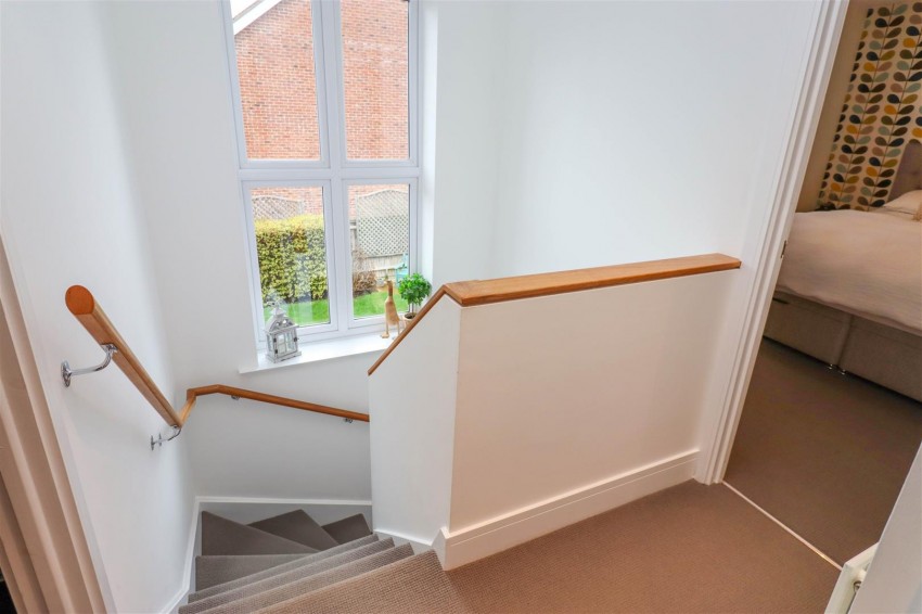 Images for Lapwings, Fleet