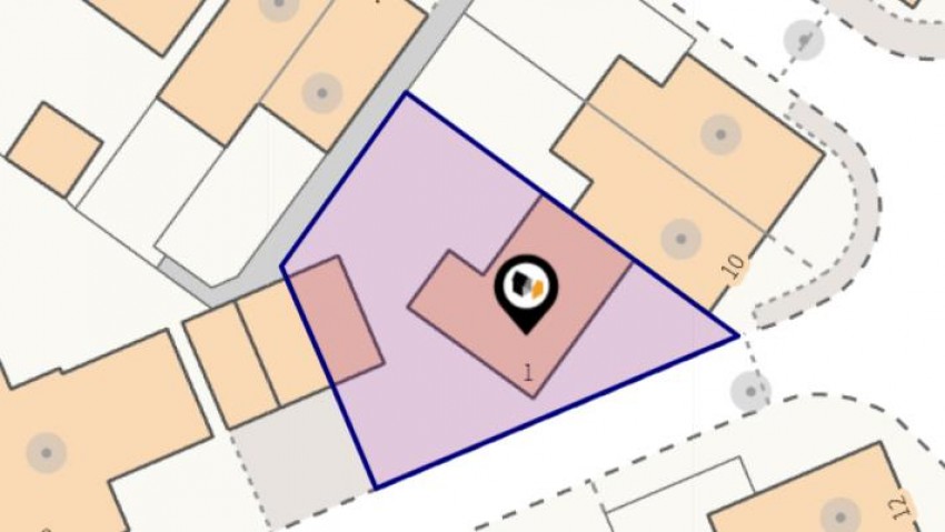 Images for Lapwings, Fleet