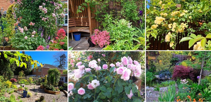 Images for Westover Road, Fleet