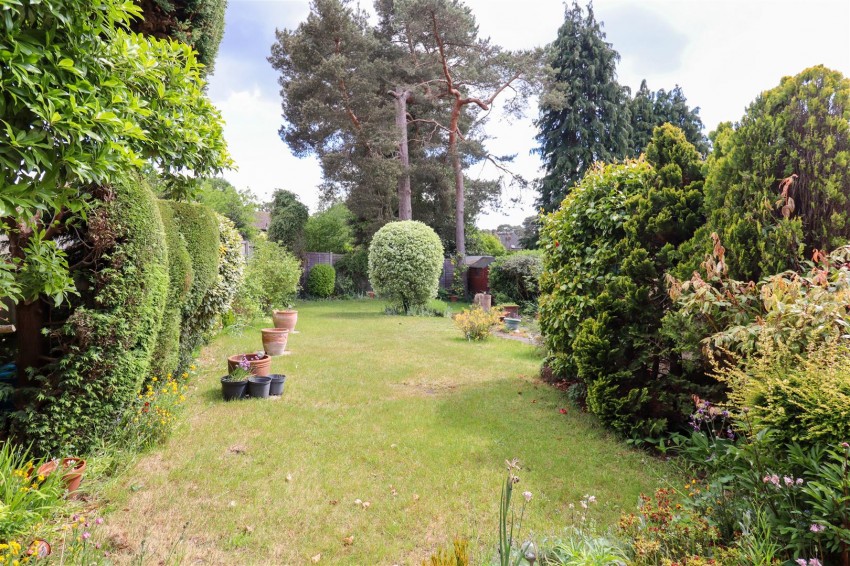 Images for Spring Woods, Fleet
