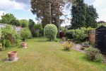 Images for Spring Woods, Fleet