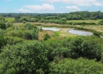 Images for Kestrel Walk, Fleet