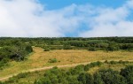 Images for Willowbourne, Fleet
